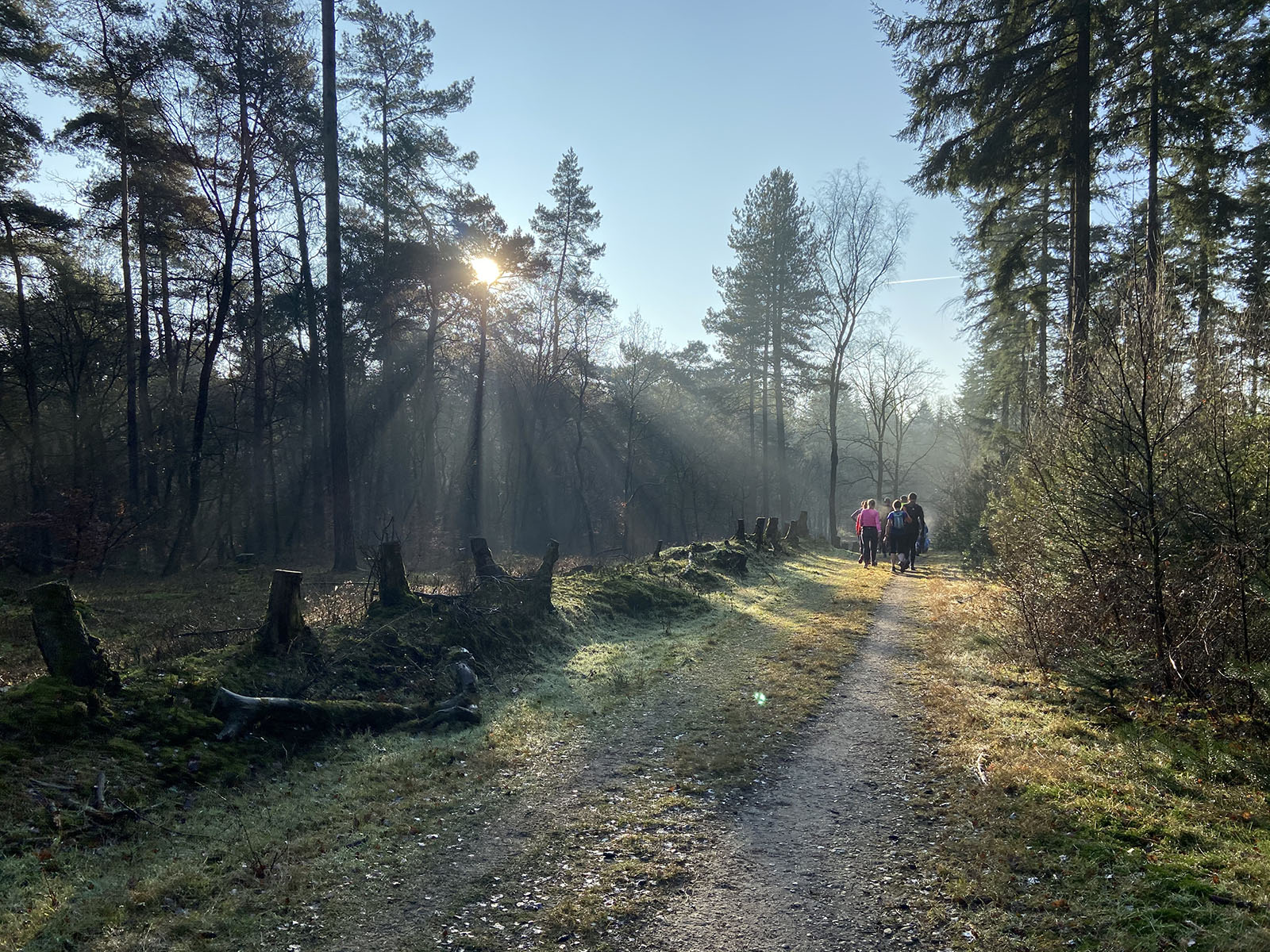 sporthart-gooi-sportief-wandelen-power-walking-groep